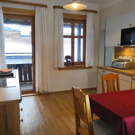 Haus Erika 1911 - Wetterstein Apartment *